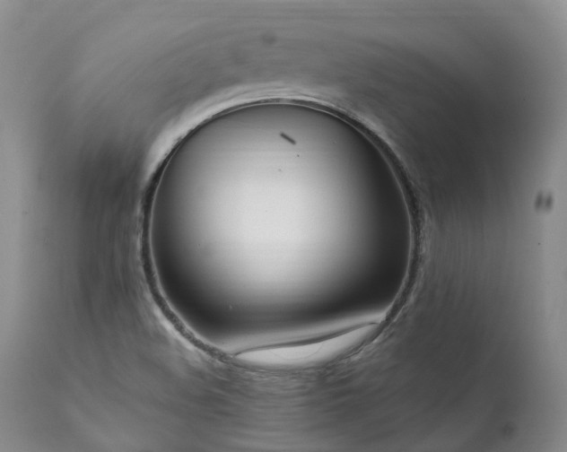 X0000111951508200907271424