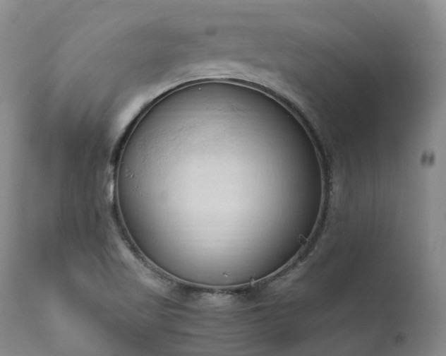 X0000111951509200907271424