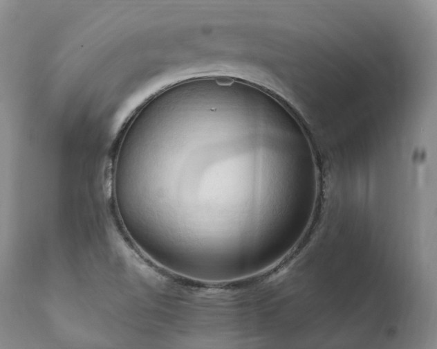 X0000111951510200907271424