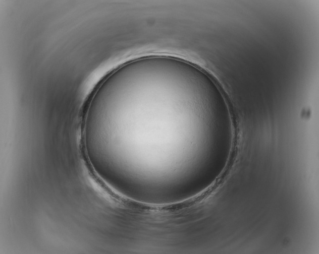 X0000111951511200907271424