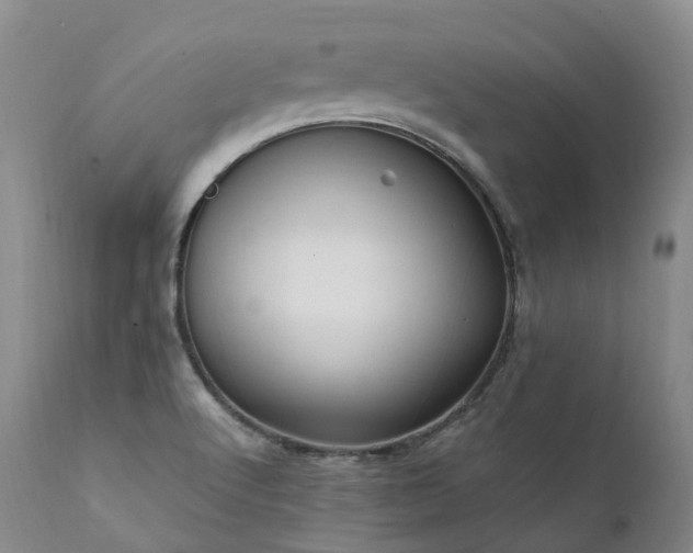 X0000111951512200907271424