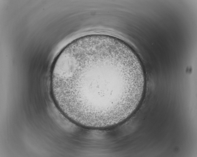 X0000111951514200907271424