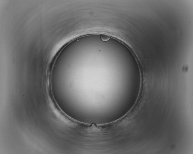 X0000111951515200907271424