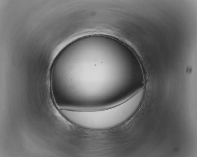 X0000111951516200907271424