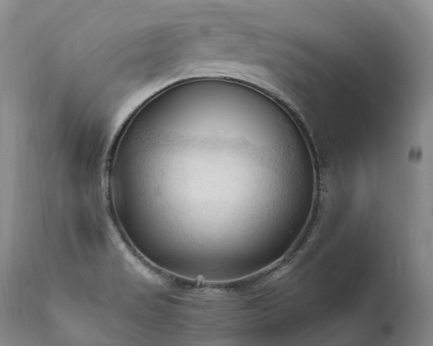 X0000111951517200907271424