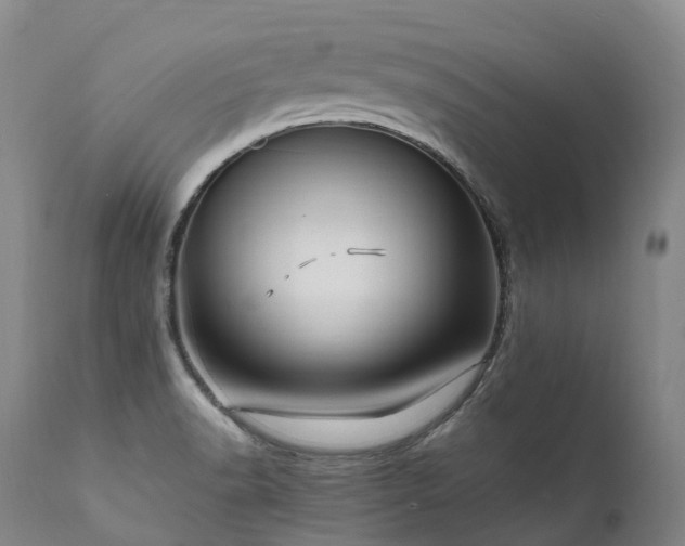 X0000111951518200907271424