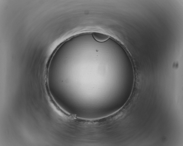 X0000111951519200907271424