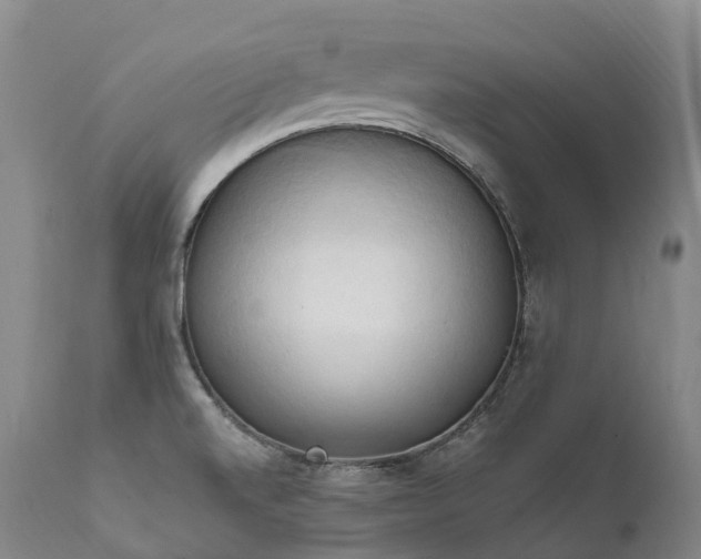 X0000111951520200907271424
