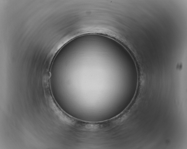 X0000111951521200907271424