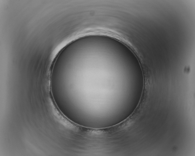 X0000111951522200907271424