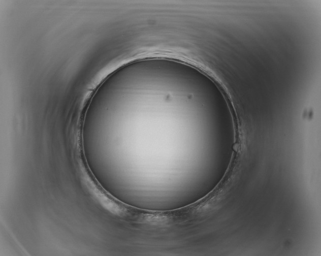 X0000111951525200907271424