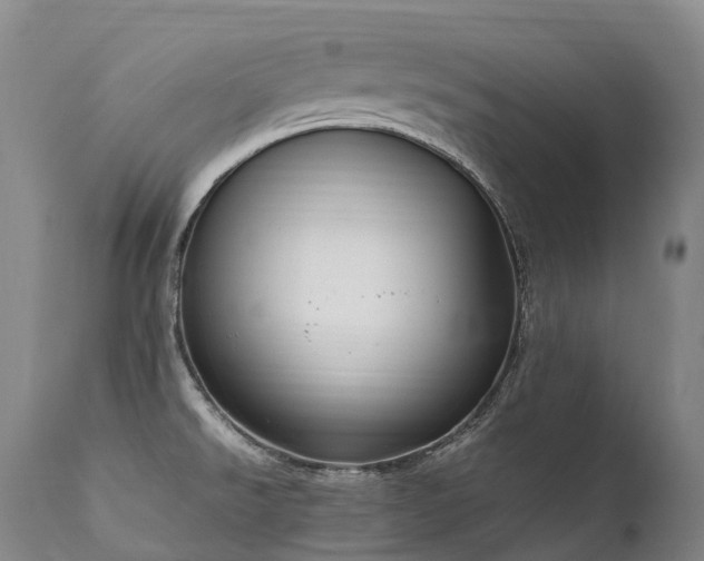 X0000111951526200907271424