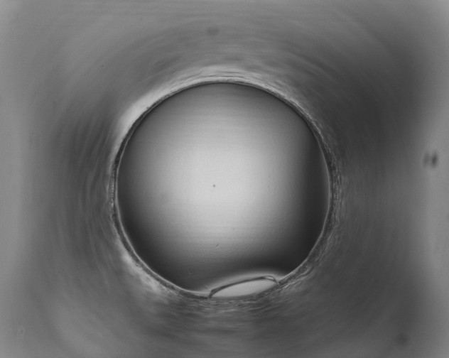 X0000111951527200907271424