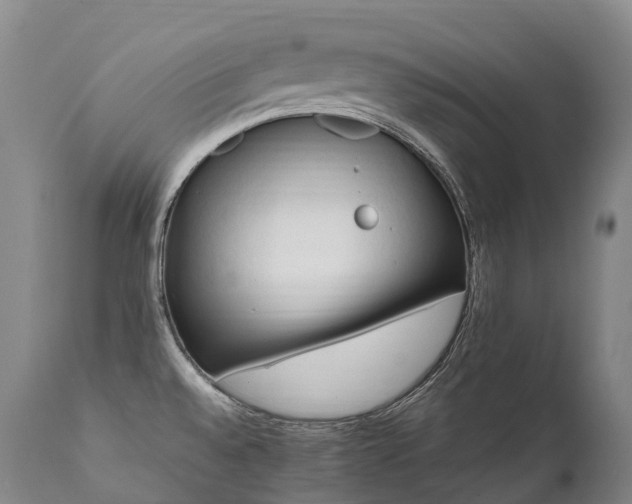 X0000111951528200907271424