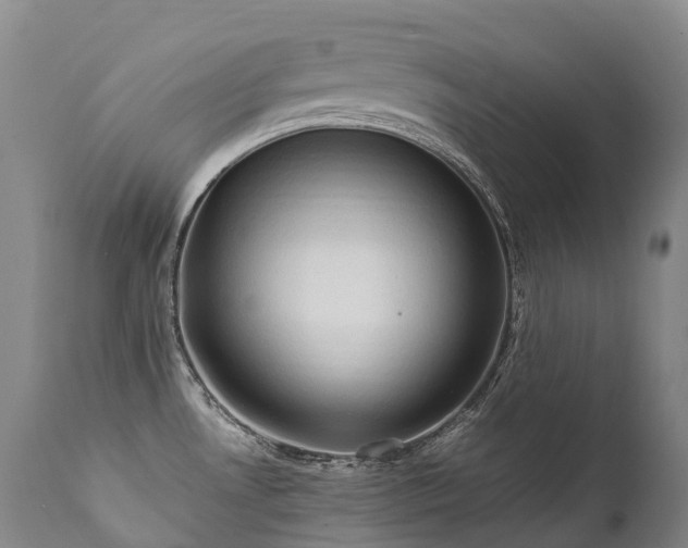 X0000111951530200907271424