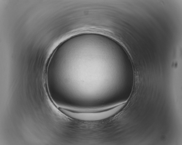 X0000111951531200907271424