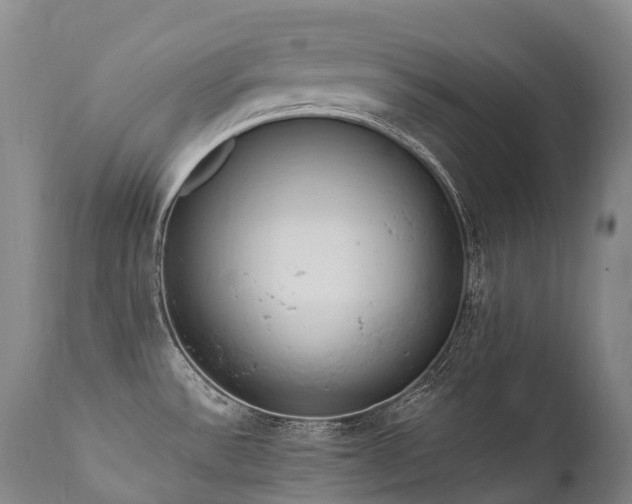 X0000111951532200907271424