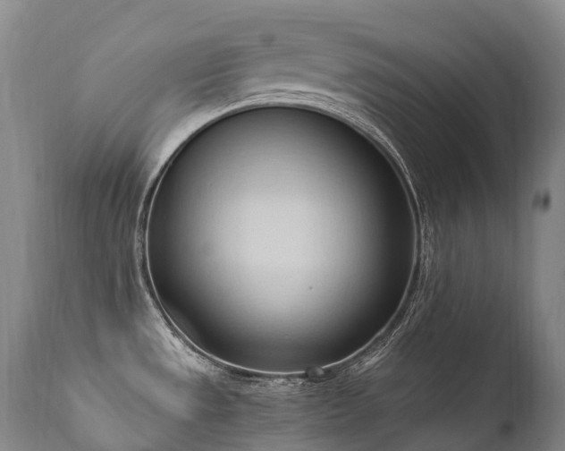 X0000111951533200907271424
