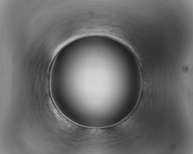 X0000111951534200907271424