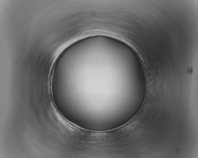 X0000111951535200907271424
