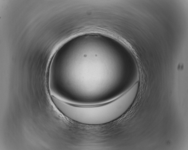 X0000111951536200907271425