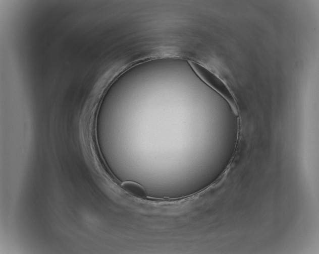 X0000111950001200908031207