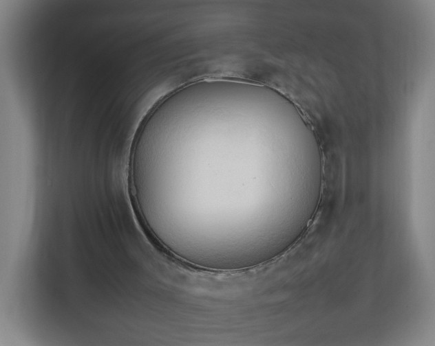 X0000111950003200908031207