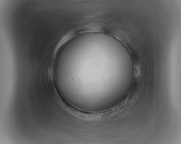 X0000111950004200908031207