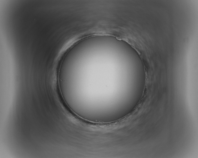 X0000111950005200908031207