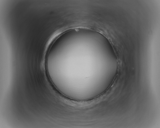 X0000111950006200908031207