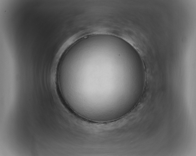 X0000111950007200908031207