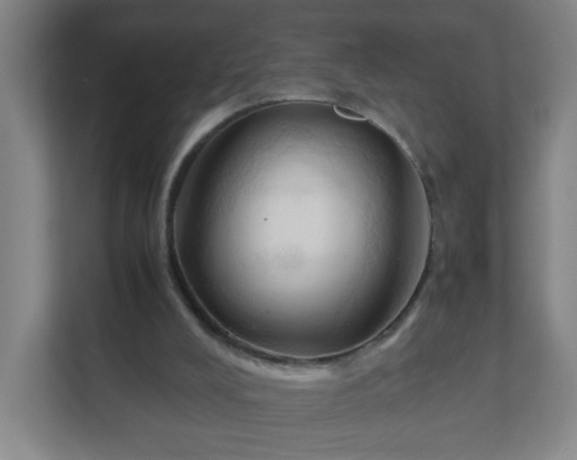 X0000111950008200908031207