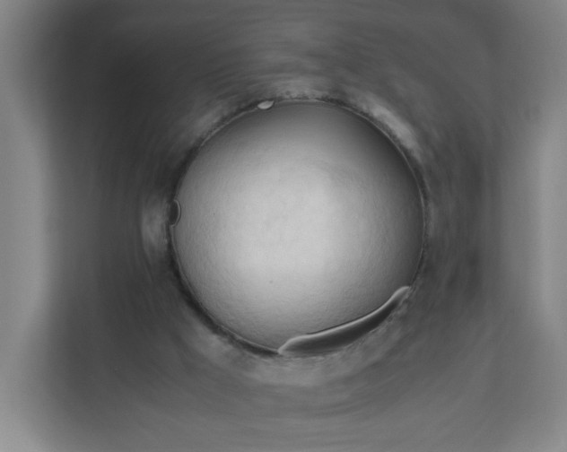 X0000111950009200908031207