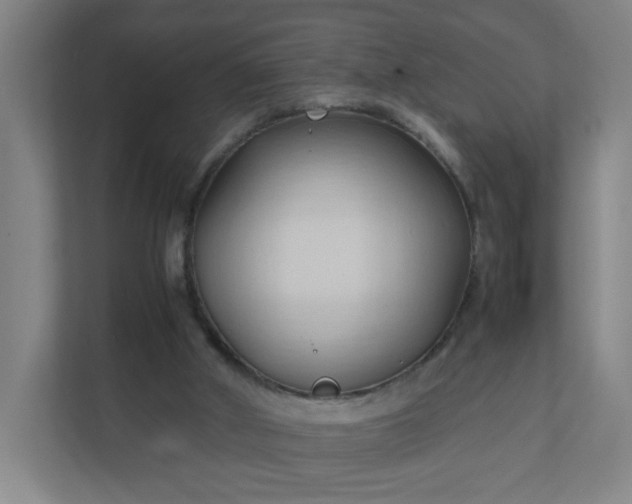 X0000111950010200908031207