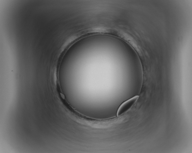 X0000111950011200908031207