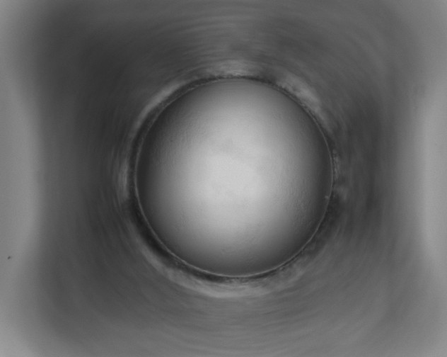 X0000111950012200908031207