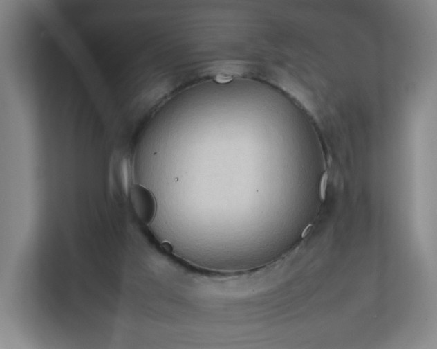 X0000111950013200908031207