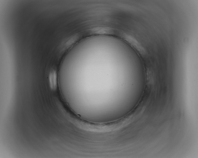 X0000111950014200908031207