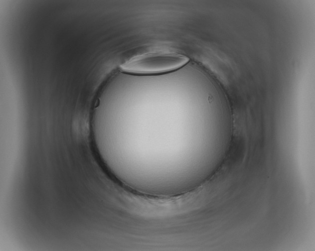 X0000111950015200908031207