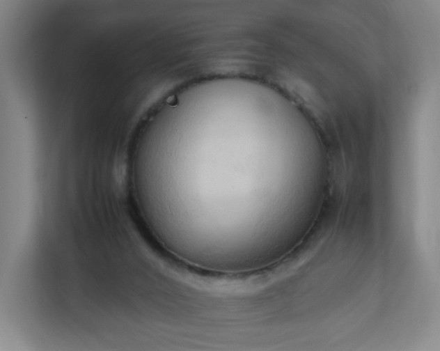 X0000111950016200908031207