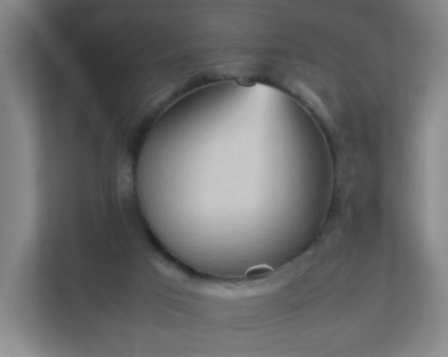 X0000111950017200908031207