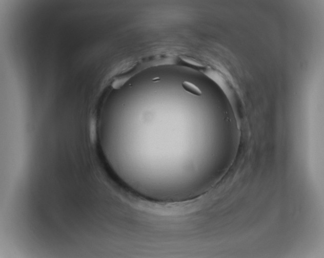 X0000111950019200908031207