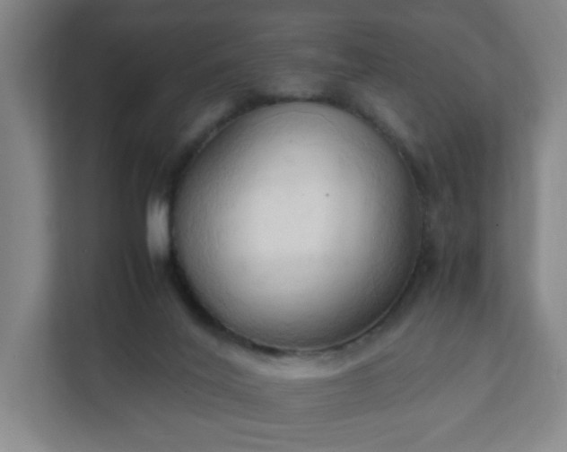 X0000111950020200908031207