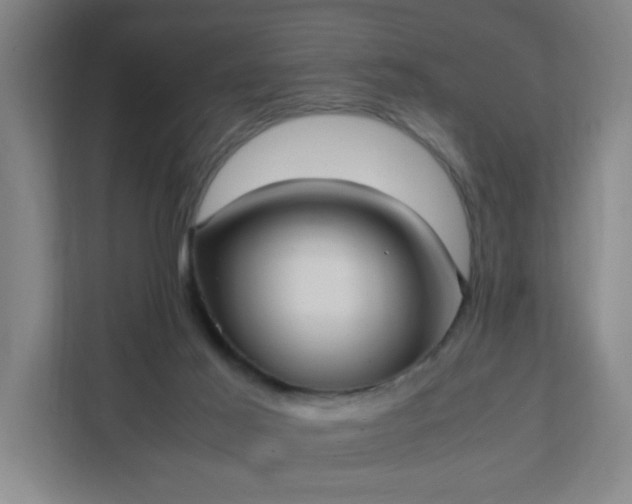 X0000111950021200908031207