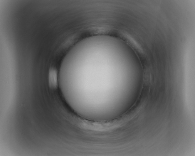 X0000111950022200908031207