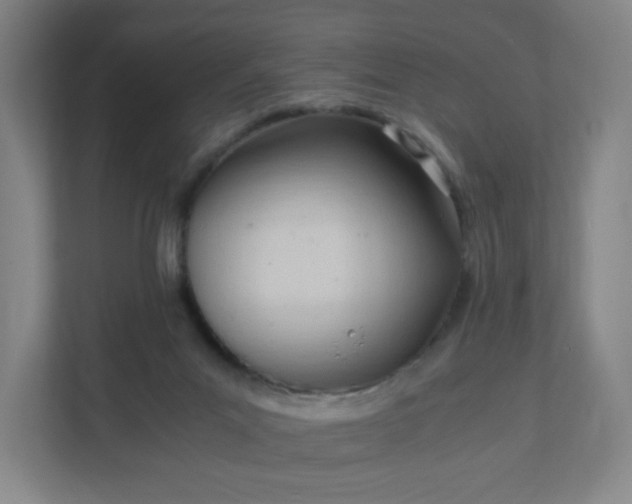 X0000111950023200908031207