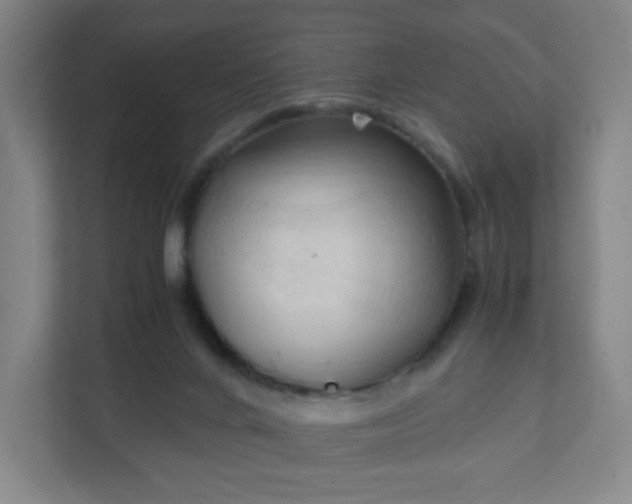X0000111950024200908031207