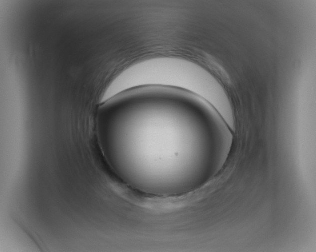 X0000111950025200908031207