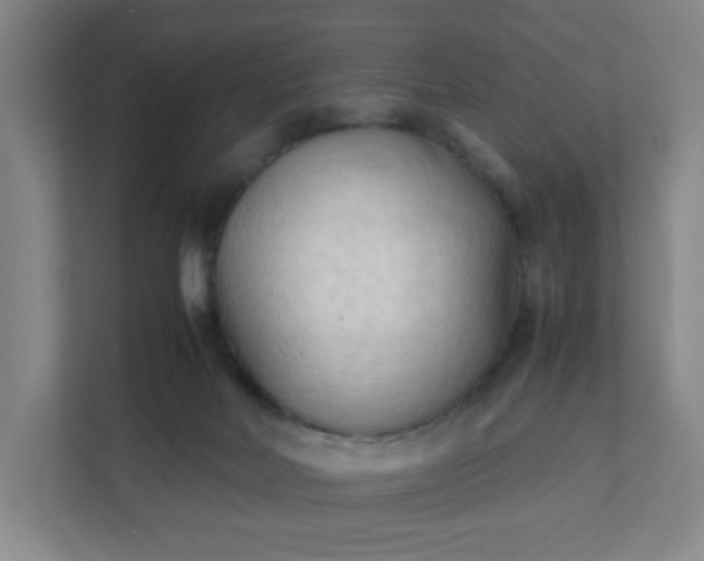 X0000111950026200908031207