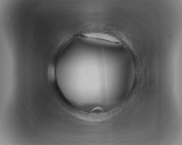X0000111950027200908031207